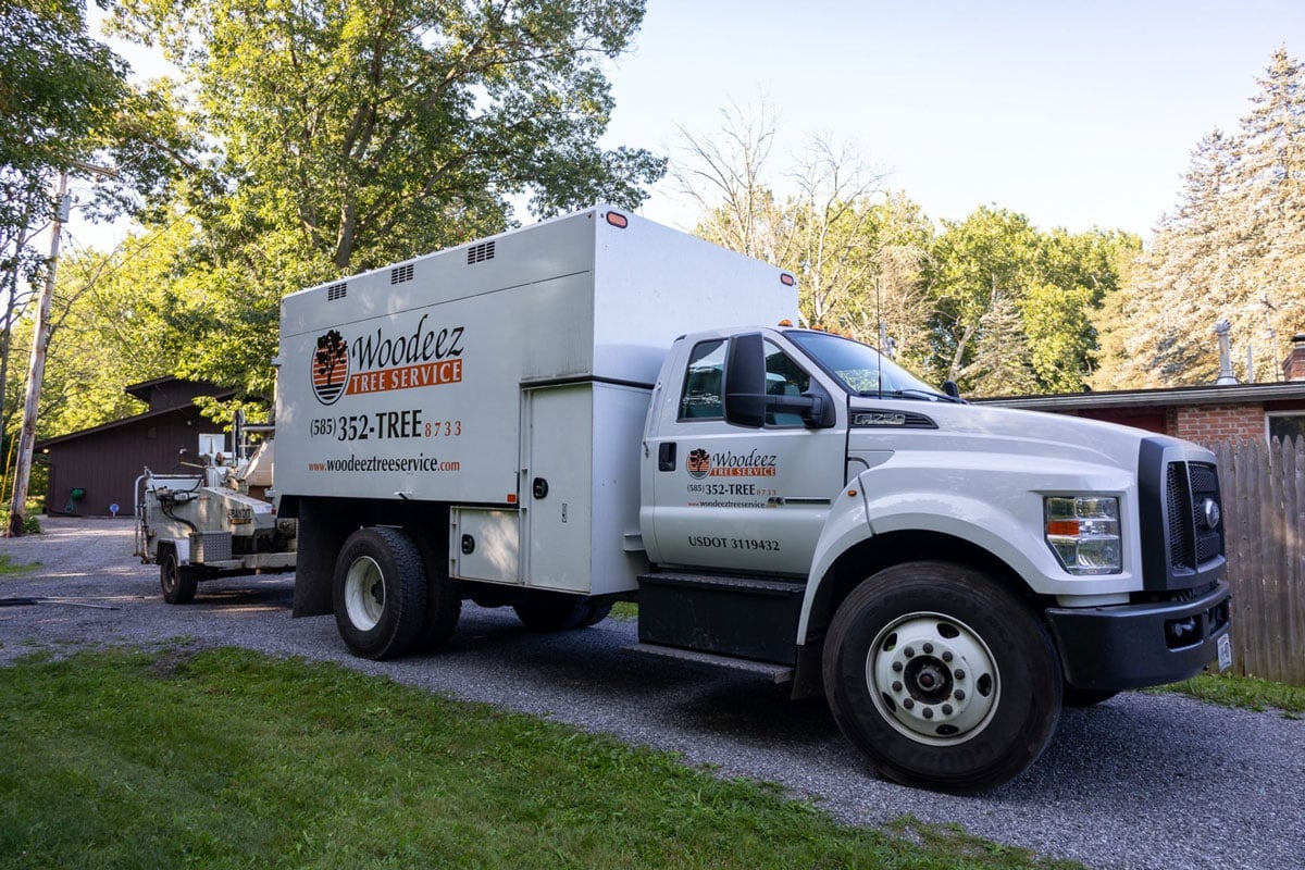 A white truck parked on a driveway. The truck has a large box on the back.