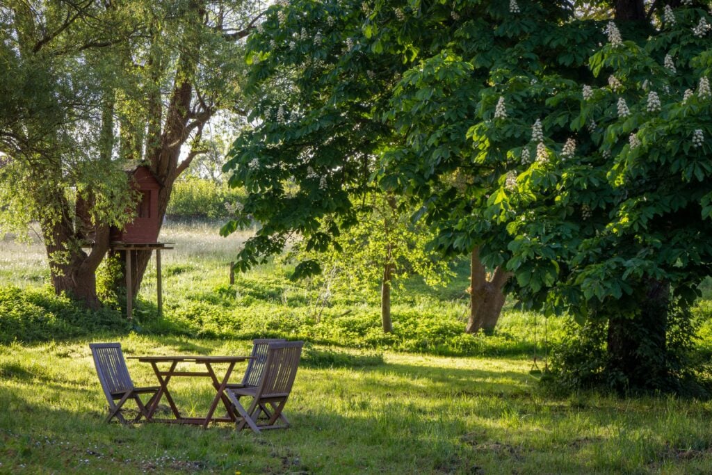 Two chairs and a table in a grassy field. Enjoy the outdoors.