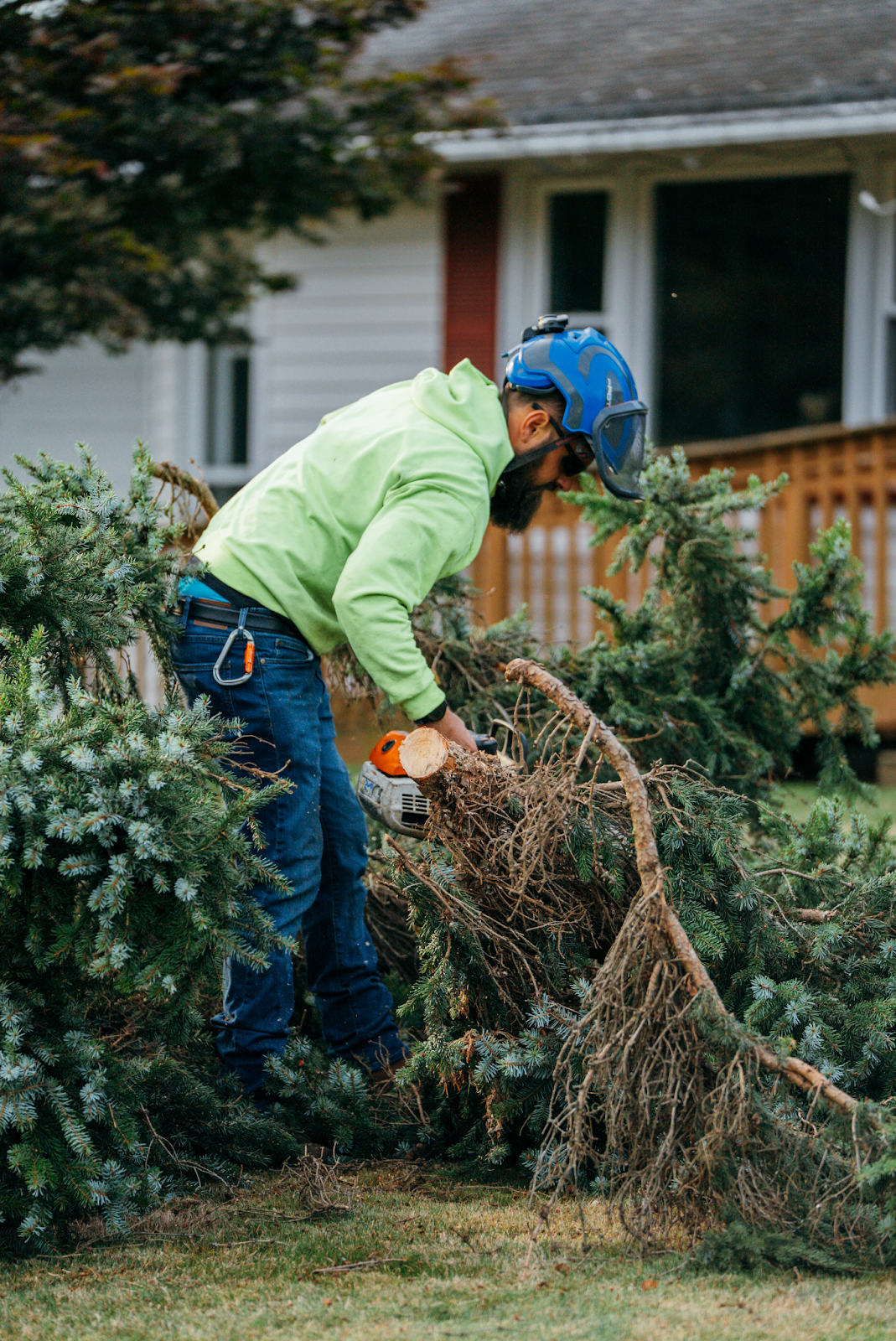 Man in safety gear cutting a tree. Tree cutting process.