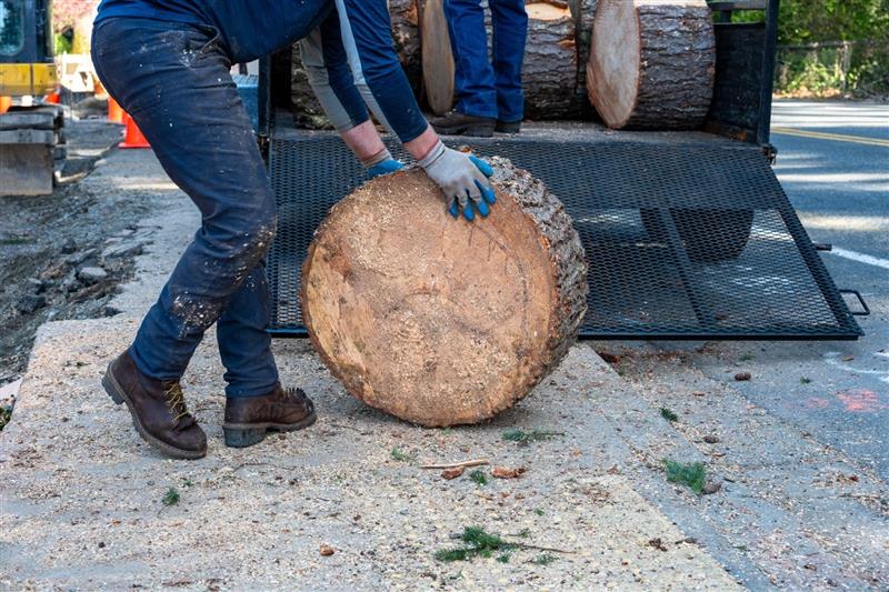 A person is lifting a large cut tree trunk. The trunk is round and has a rough bark.