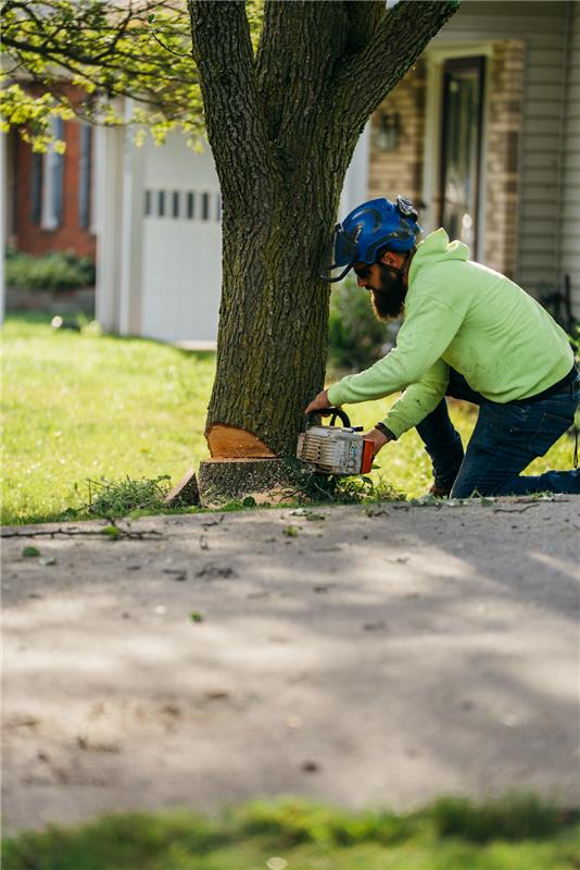Man in safety gear using a chainsaw on a tree.