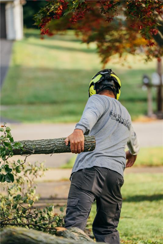 Man in safety gear carrying tree branch. He is wearing a protective helmet.