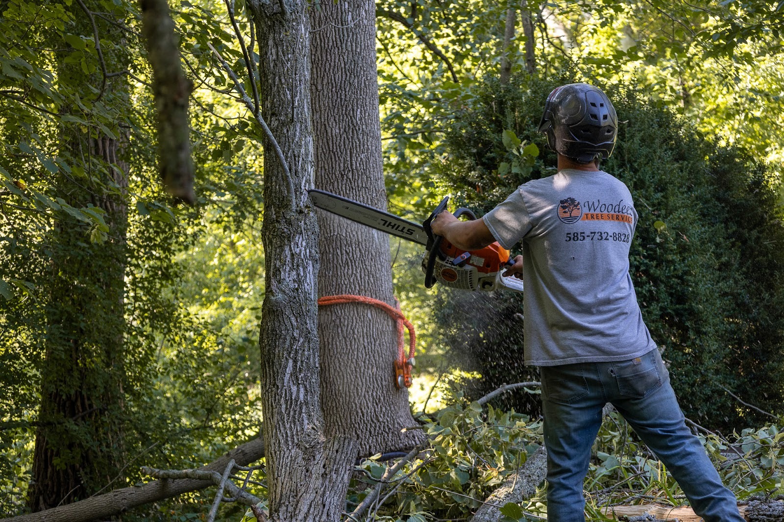 Man in safety gear using a chainsaw on a tree.