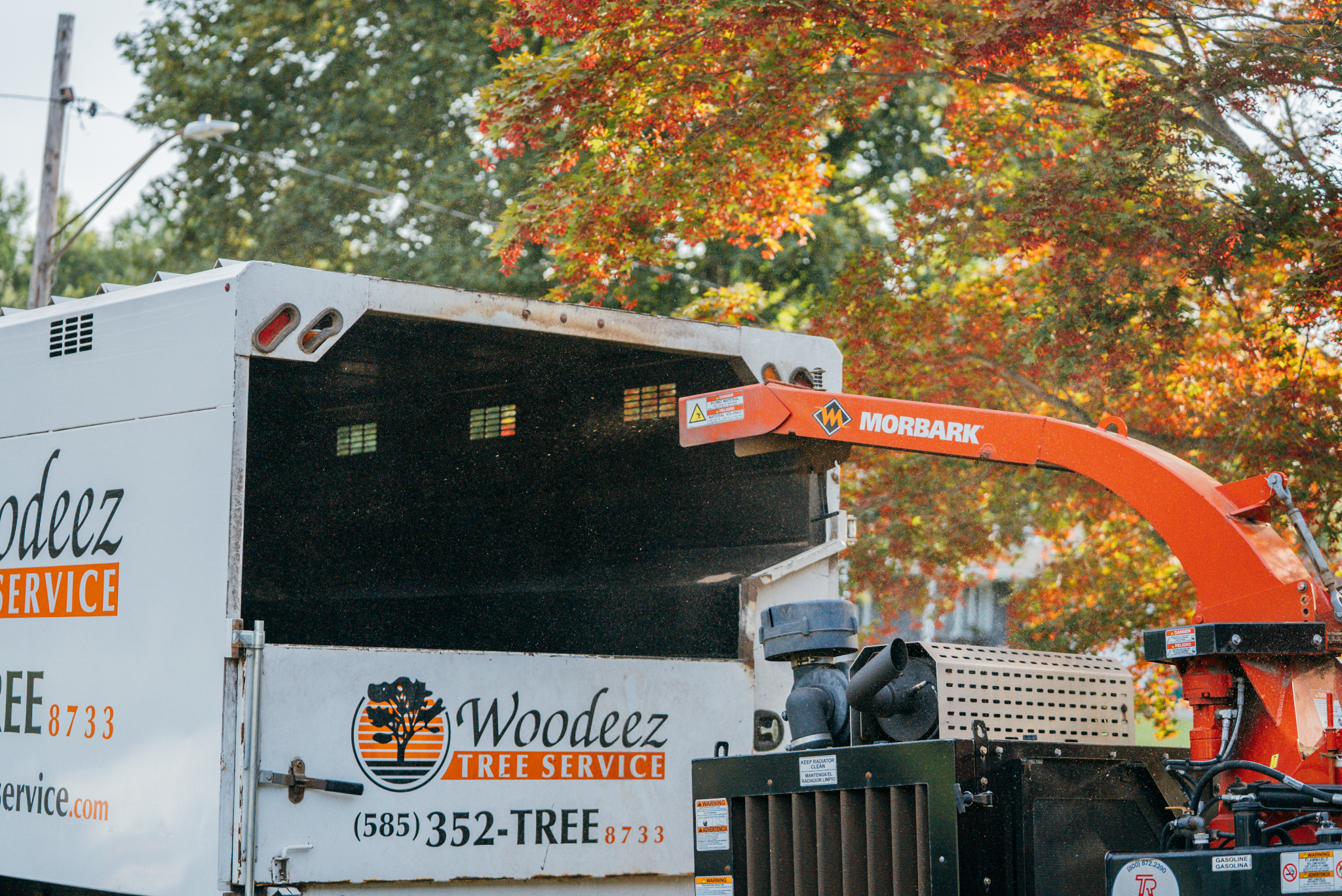 Tree removal service truck with a wood chopper. The truck is from Woodeez Tree Service.