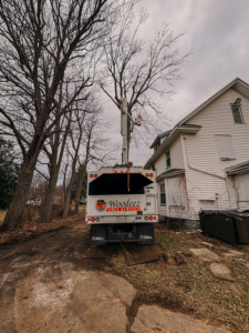 A white tree service truck is parked on a dirt path next to a residential house with tall leafless trees.